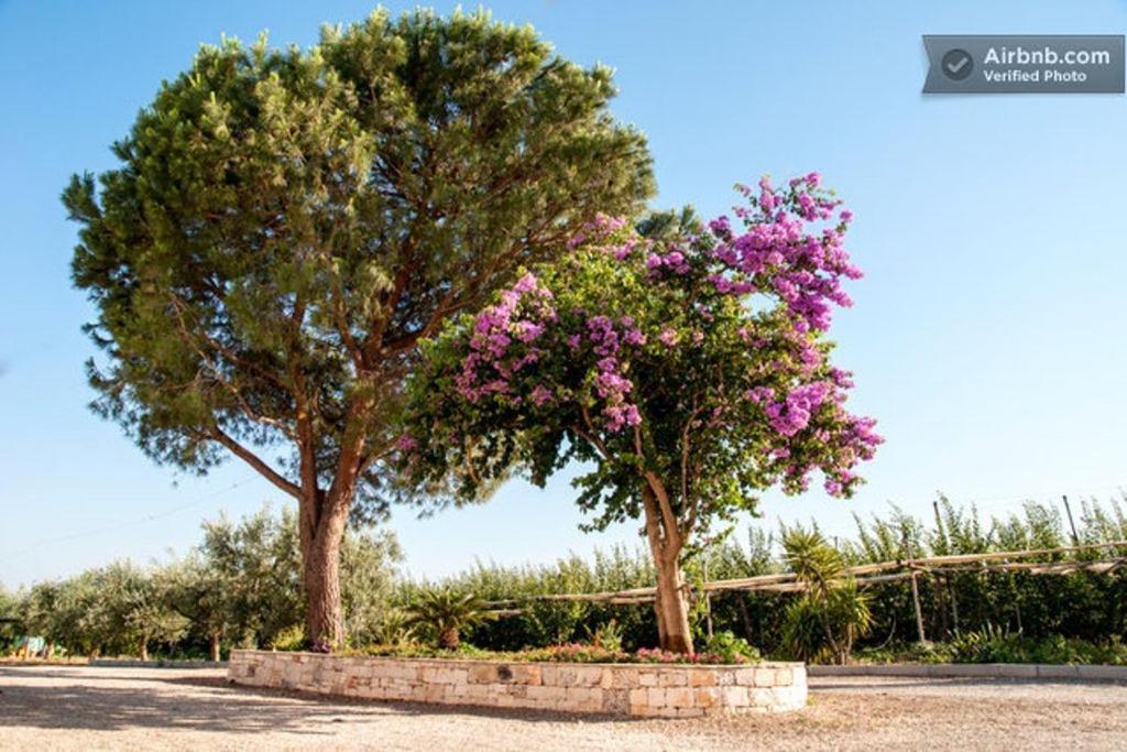 Agriturismo Biologico Sant'Andrea Castellaneta Marina Exterior foto